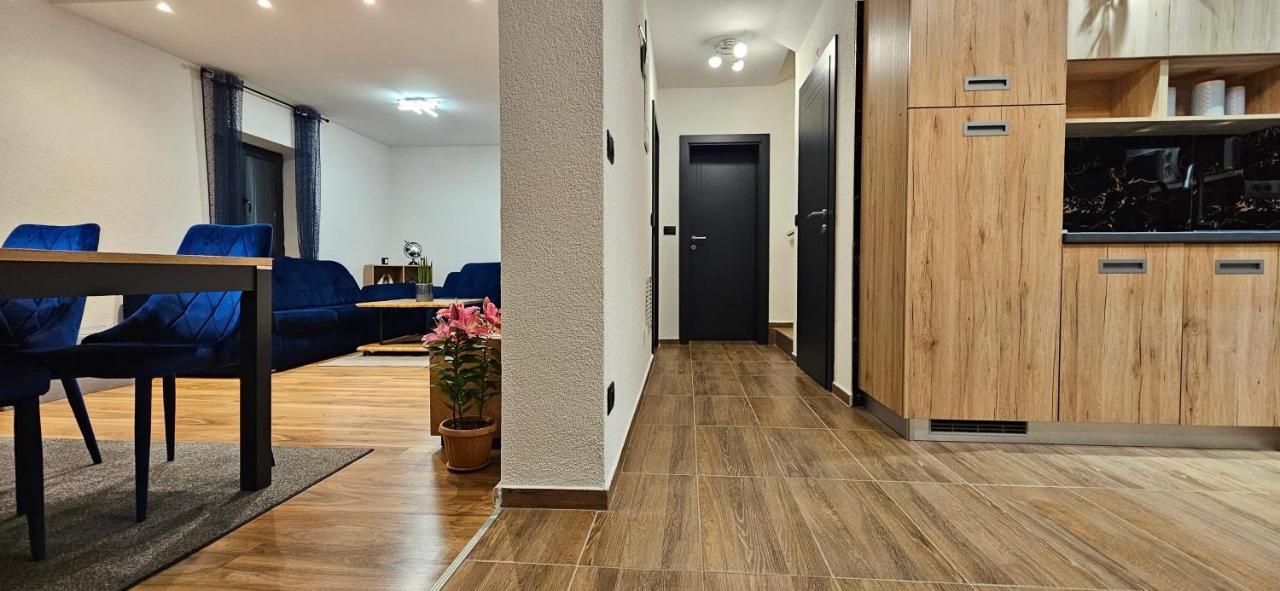 Betty Apartments Borik - Whole Ground Floor 罗维尼 外观 照片