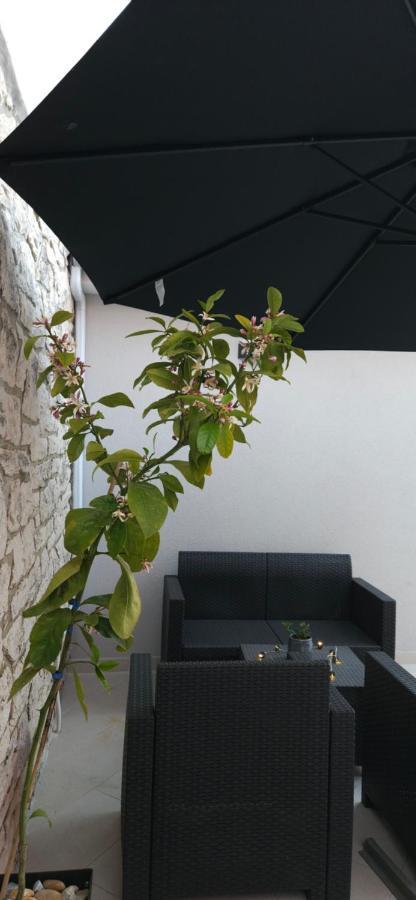 Betty Apartments Borik - Whole Ground Floor 罗维尼 外观 照片