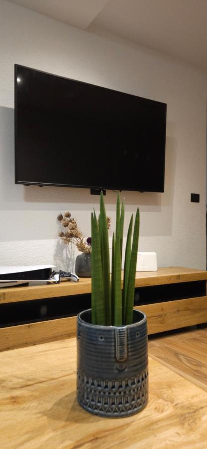 Betty Apartments Borik - Whole Ground Floor 罗维尼 外观 照片