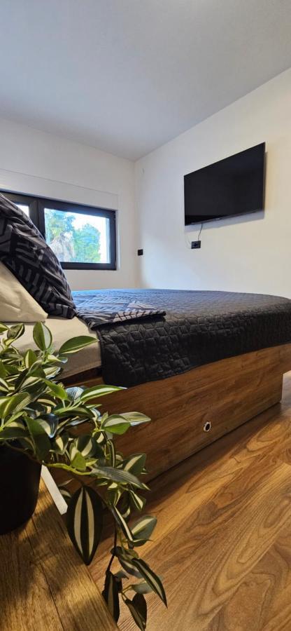 Betty Apartments Borik - Whole Ground Floor 罗维尼 外观 照片